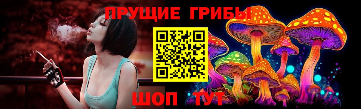 Псилоцибиновые грибы мицелий Избербаш